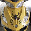 spider decal kit for can am Spyders